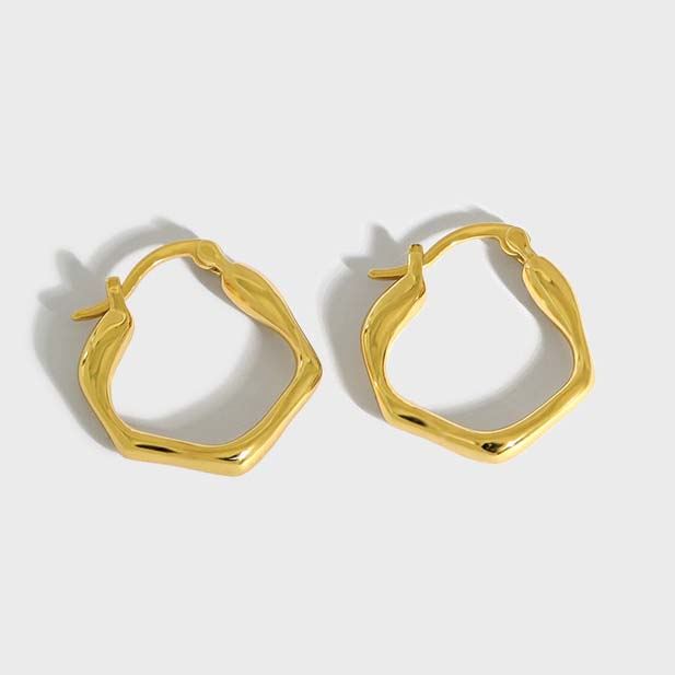 Fashion Irregular Geometry 925 Sterling Silver Hoop Earrings - SterlingSilberSchmuck